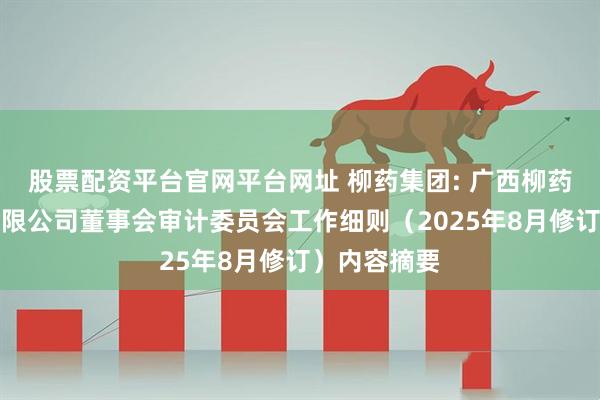 股票配资平台官网平台网址 柳药集团: 广西柳药集团股份有限公司董事会审计委员会工作细则（2025年8月修订）内容摘要