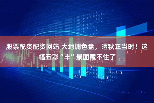 股票配资配资网站 大地调色盘，晒秋正当时！这幅五彩“丰”景图藏不住了