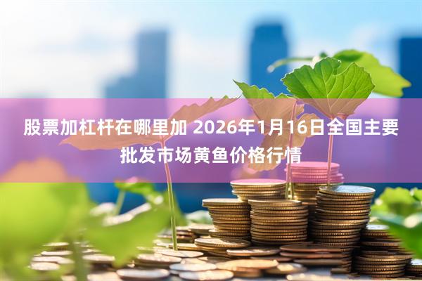 股票加杠杆在哪里加 2026年1月16日全国主要批发市场黄鱼价格行情